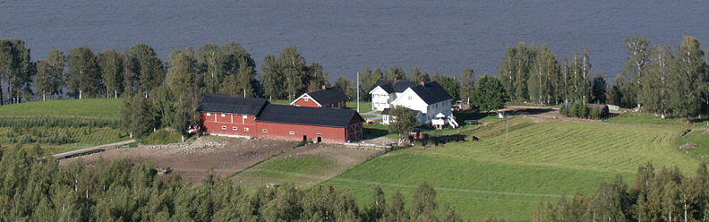 Flatlien gård sett fra lia mot Veståsen